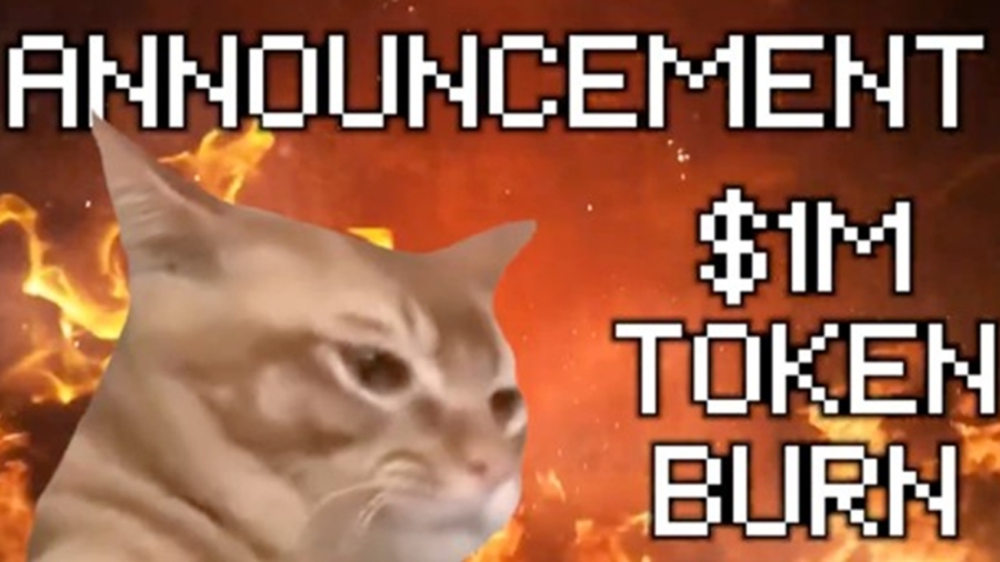 CatSlap-2