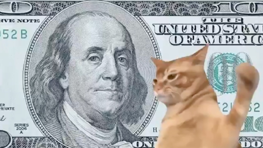 projeto-catslap