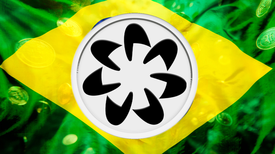 worldcoin-airdrop-brasil