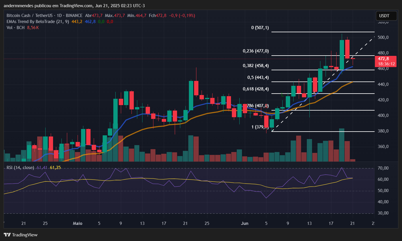 criptomoedas que mais subiram: Gráfico do Bitcoin Cash (BCH) no TradingView