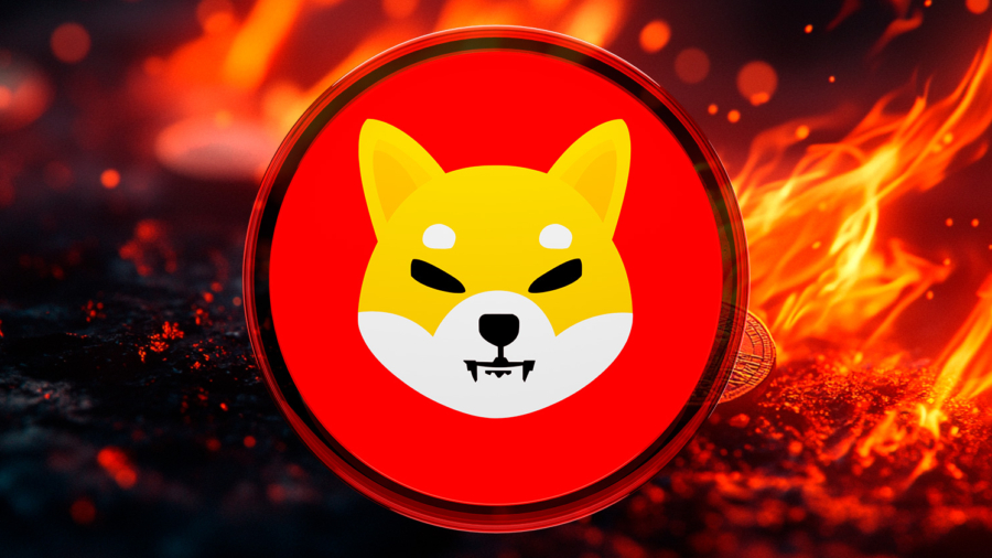 comunidade-shiba-inu-queima