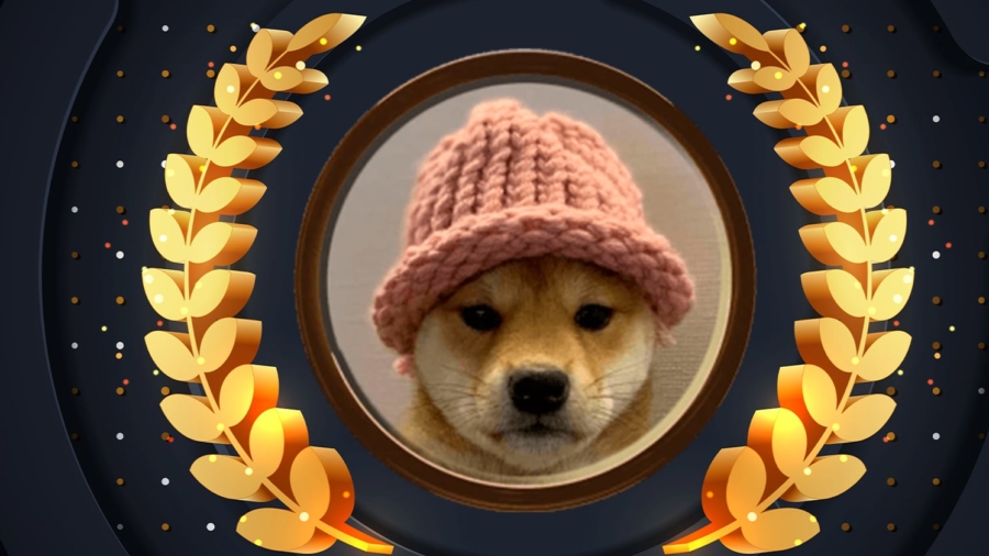dogwifhat-bate-recorde-de-mercado