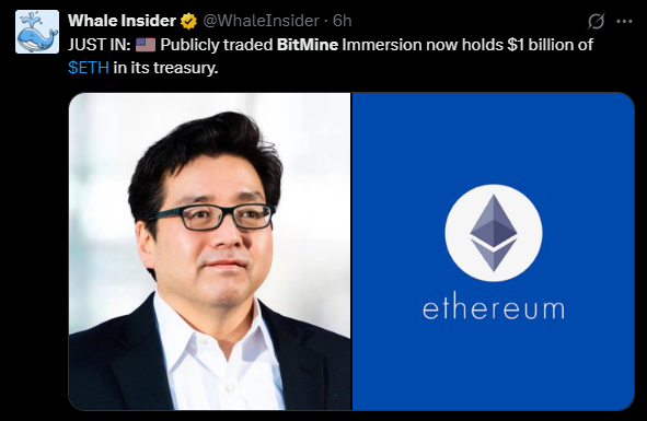 BitMine