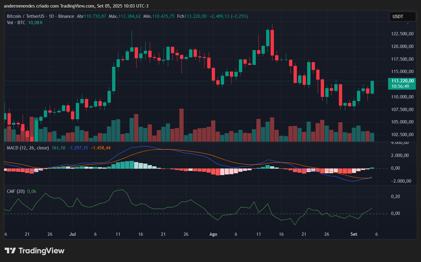 Gráfico do Bitcoin (BTC) no TradingView