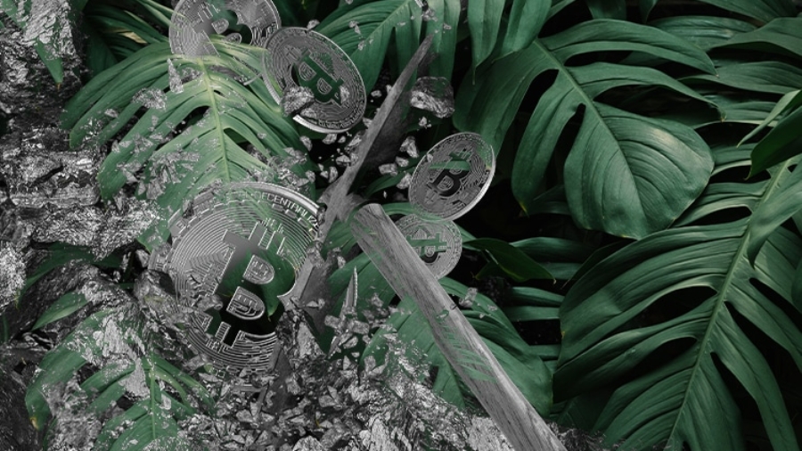 greenpeace-bitcoin-mineracao